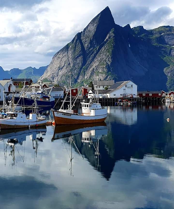 hurtigruten the world's most beautiful sea voyage